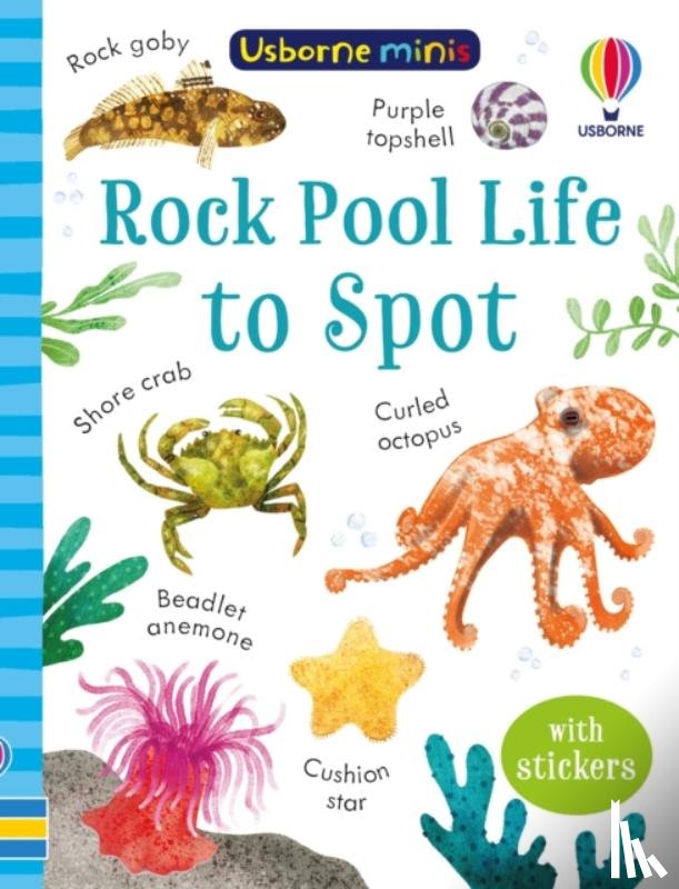 Tudhope, Simon - Rock Pool Life to Spot