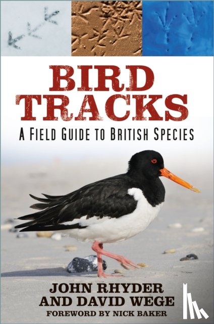 Rhyder, John, Wege, David - Bird Tracks