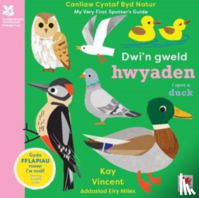 Vincent, Kay - Dwi'n Gweld Hwyaden / I Spot a Duck