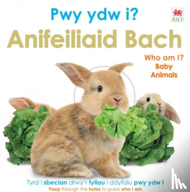 DK - Pwy Ydw i? Anifeiliaid Bach / Who Am I? Baby Animals