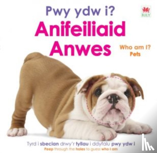 DK - Pwy ydw i? Anifeiliaid Anwes / Who Am I? Pets