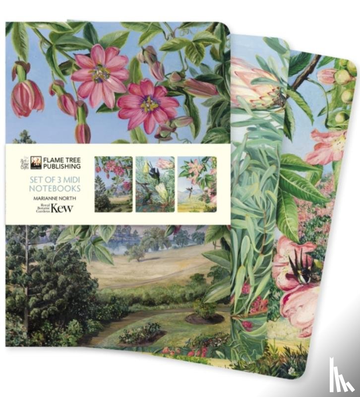 Flame Tree Studio - Kew Gardens: Marianne North Set of 3 Midi Notebooks