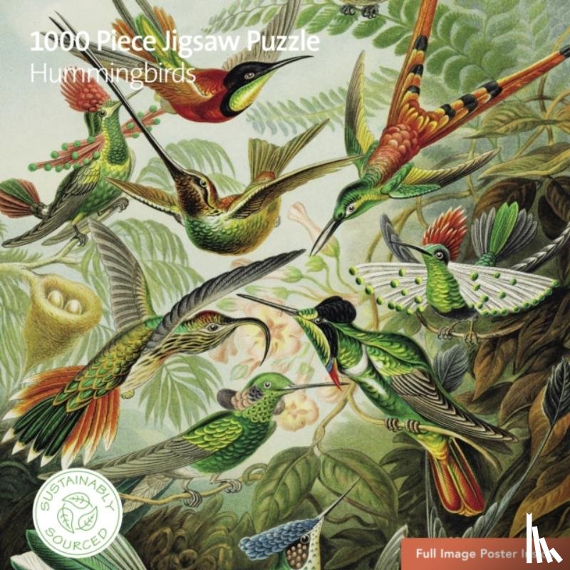 Flame Tree Studio - Adult Sustainable Jigsaw Puzzle V&A: Hummingbirds