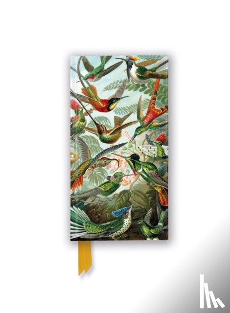 Flame Tree Studio - Ernst Haeckel: Hummingbirds (Foiled Slimline Journal)