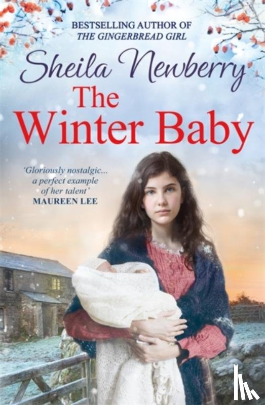 Newberry, Sheila - The Winter Baby