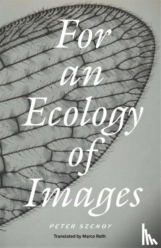 Szendy, Peter - For an Ecology of Images