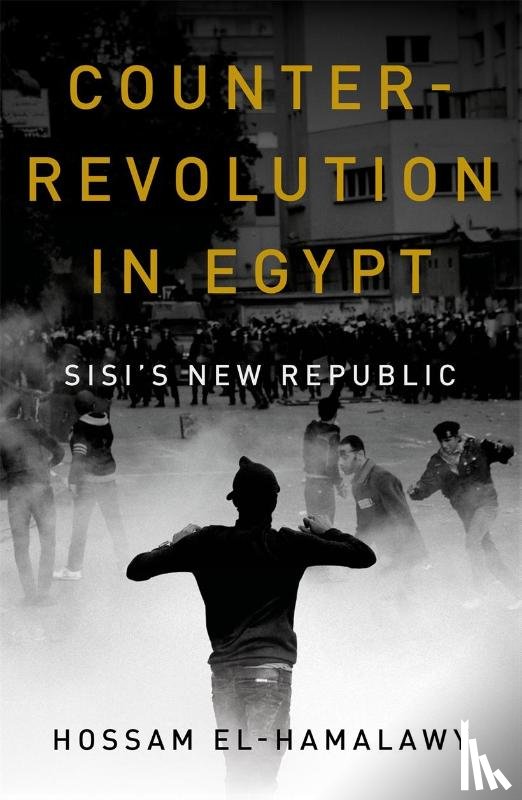 el-Hamalawy, Hossam - Counterrevolution in Egypt