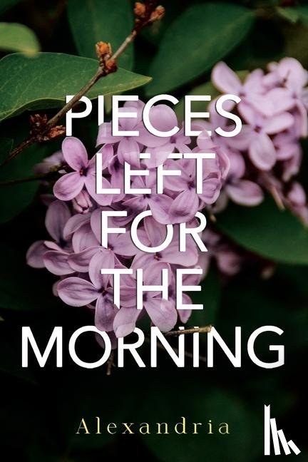 Alexandria - Pieces Left for the Morning