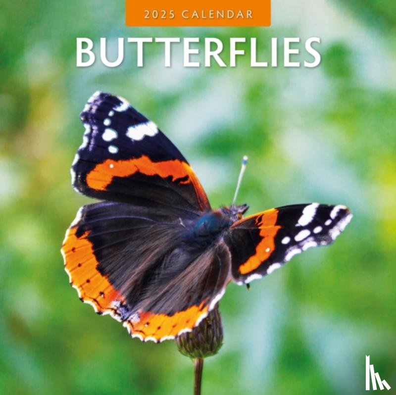 Red Robin - Butterflies 2025 Square Wall Calendar
