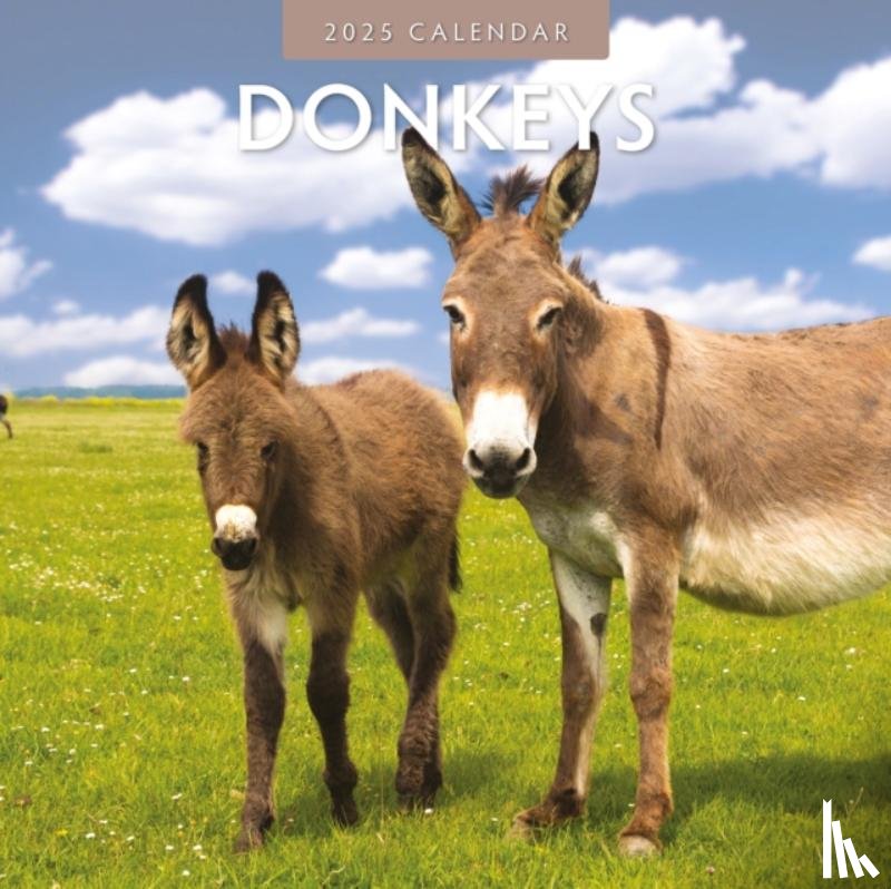 Red Robin - Donkeys 2025 Square Wall Calendar