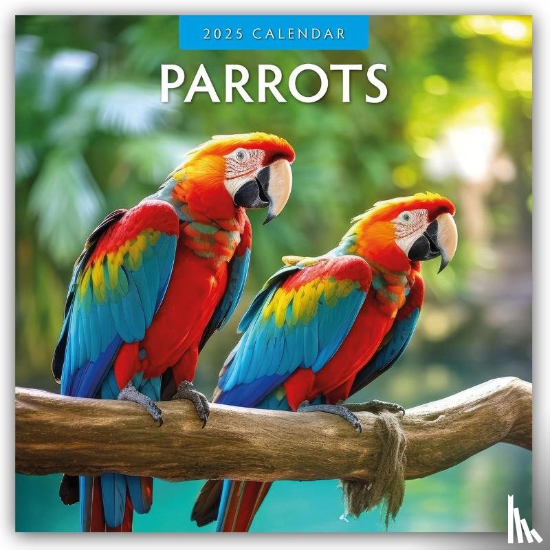 Red Robin - Parrots 2025 Square Wall Calendar