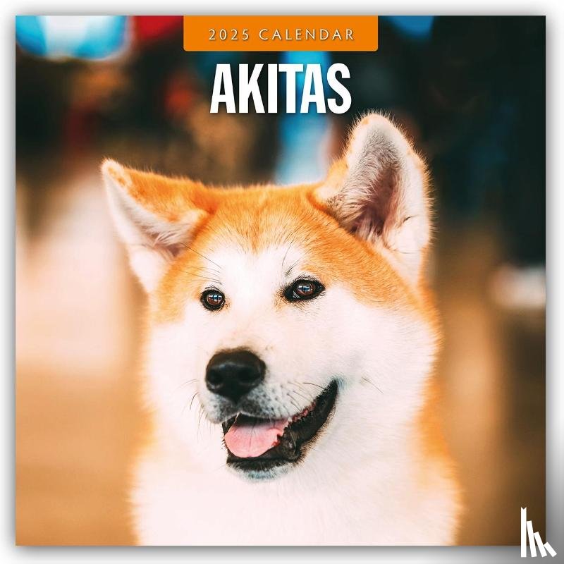 Red Robin - Akitas 2025 Square Wall Calendar