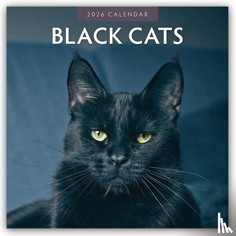 Red Robin - Black Cats 2026 Square Wall Calendar