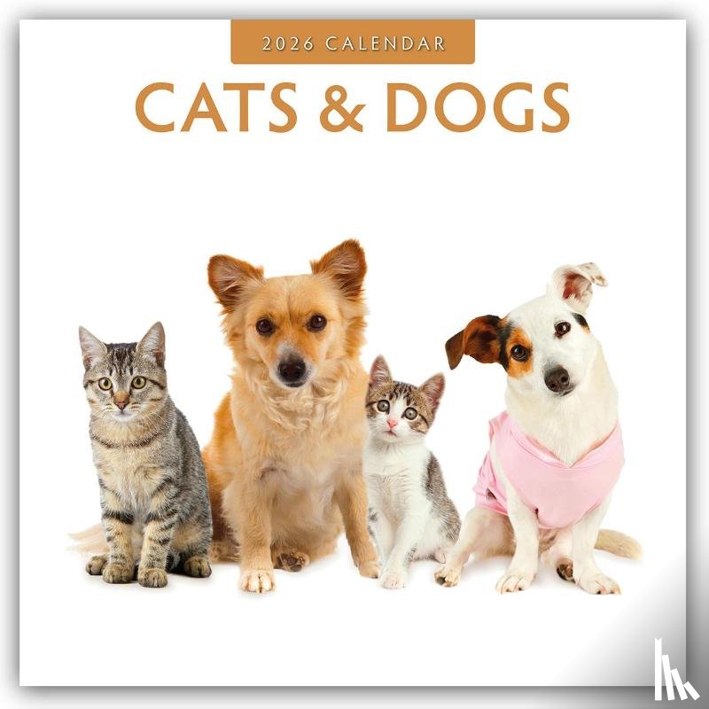 Red Robin - Cats & Dogs 2026 Square Wall Calendar