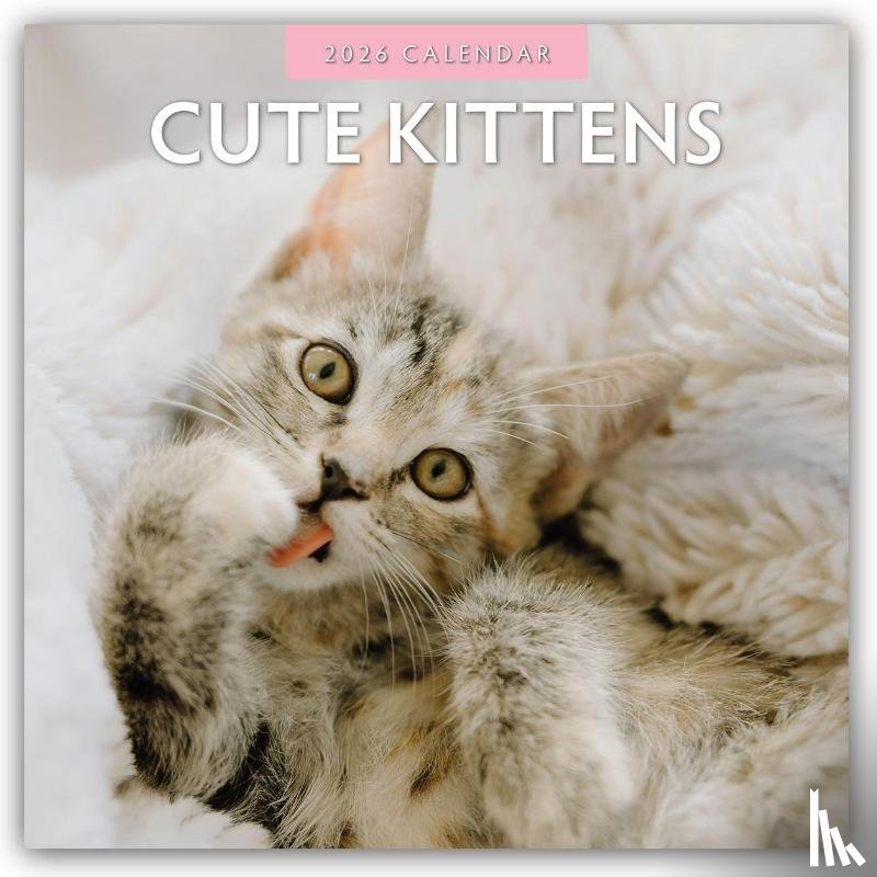 Red Robin - Cute Kittens 2026 Square Wall Calendar