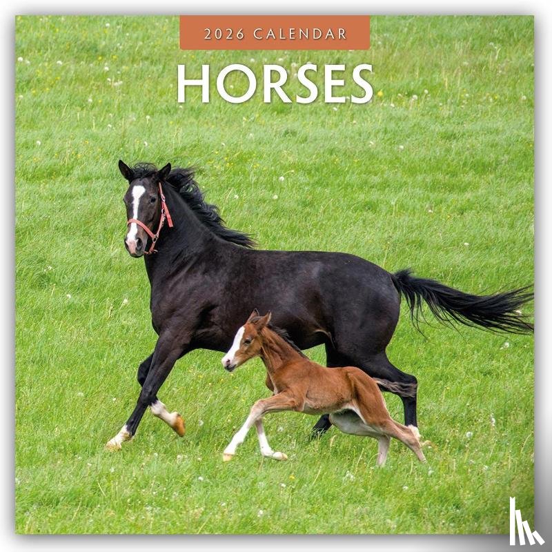 Red Robin - Horses 2026 Square Wall Calendar