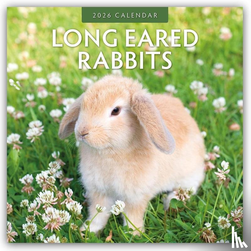 Red Robin - Long Eared Rabbits 2026 Square Wall Calendar