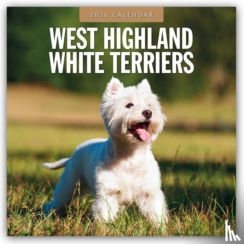 Red Robin - West Highland White Terriers 2026 Square Wall Calendar