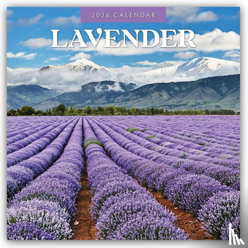 Red Robin - Lavender 2026 Square Wall Calendar
