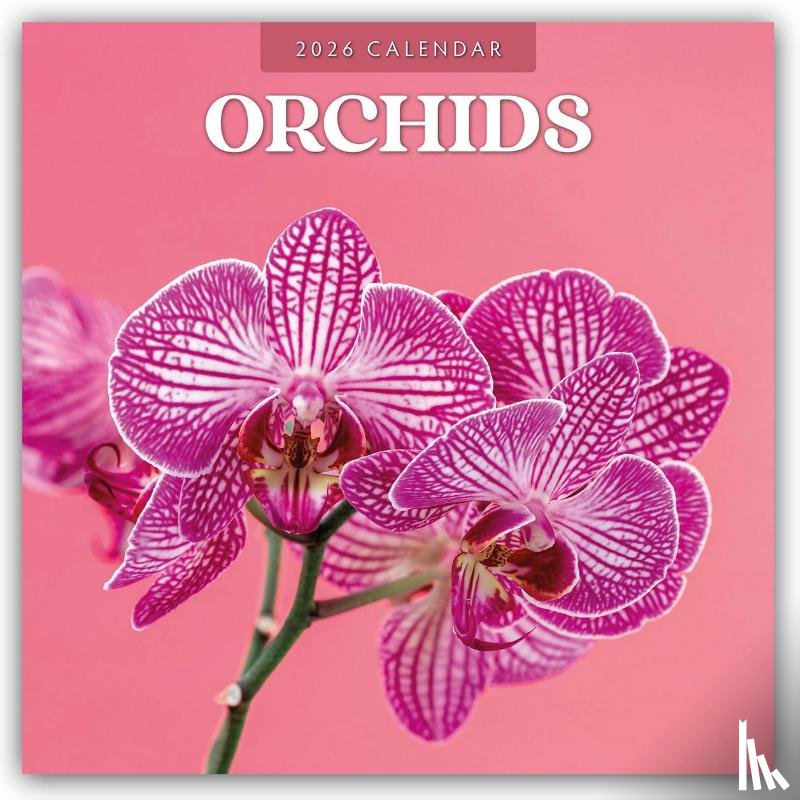 Red Robin - Orchids 2026 Square Wall Calendar