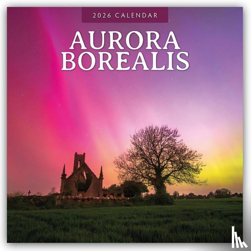 Red Robin - Aurora Boraelis - Northern lights 2026 Square Wall Calendar