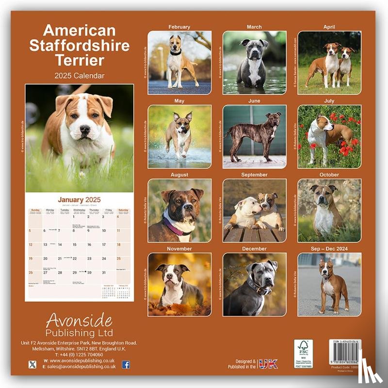 Avonside Publishing - American Staffordshire Terrier Calendar 2025 Square Dog Breed Wall Calendar - 16 Month