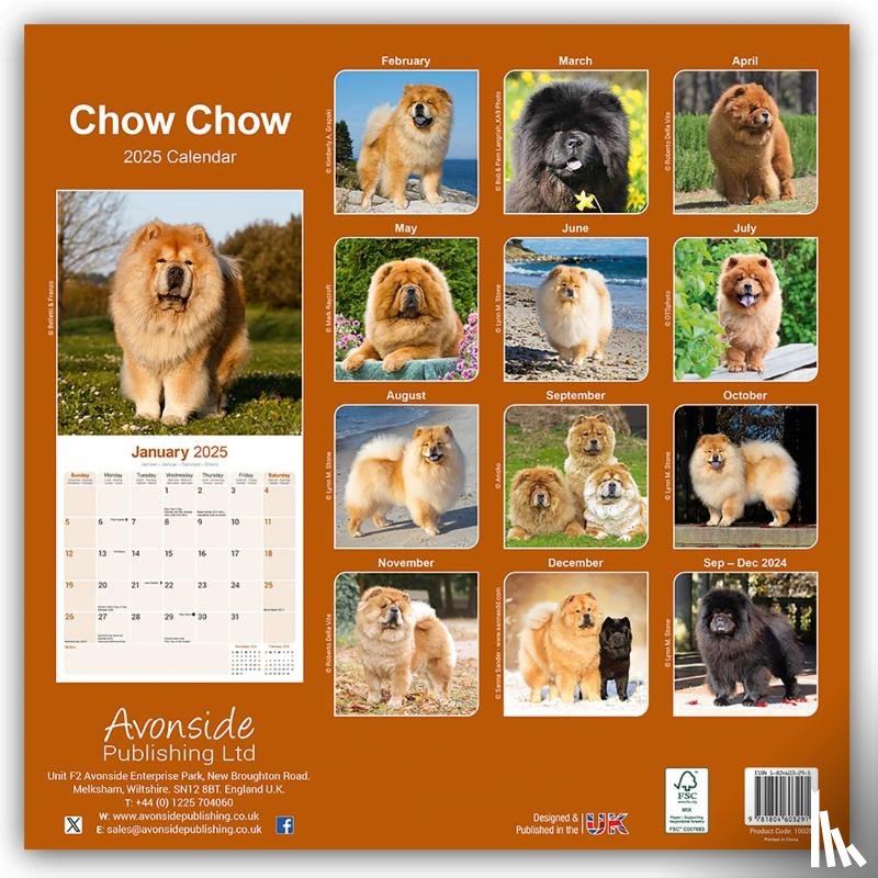 Avonside Publishing Ltd - Chow Chow Calendar 2025 Square Dog Breed Wall Calendar - 16 Month