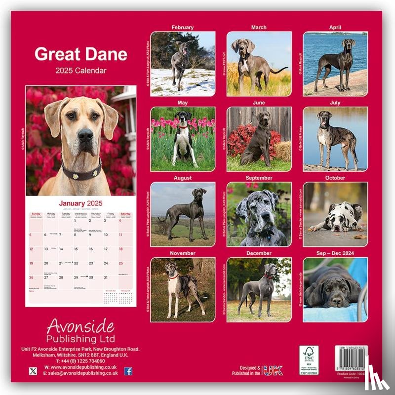 Avonside Publishing Ltd - Great Dane Square Wall Calendar 2025