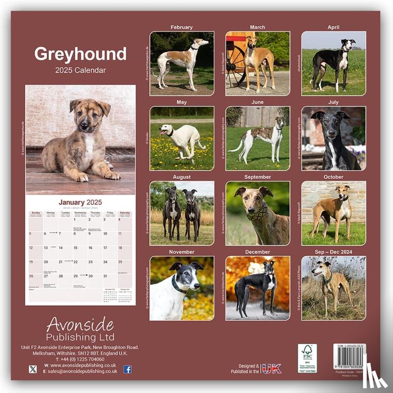 Avonside Publishing Ltd - Greyhound Square Wall Calendar 2025