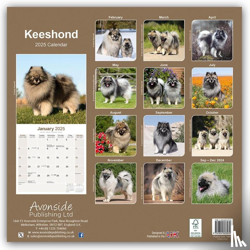 Avonside Publishing Ltd - Keeshond Calendar 2025 Square Dog Breed Wall Calendar - 16 Month