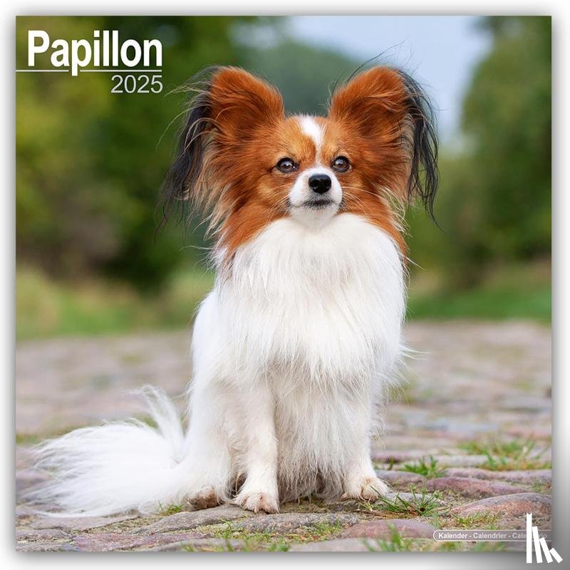 Avonside Publishing Ltd - Papillon Calendar 2025 Square Dog Breed Wall Calendar - 16 Month