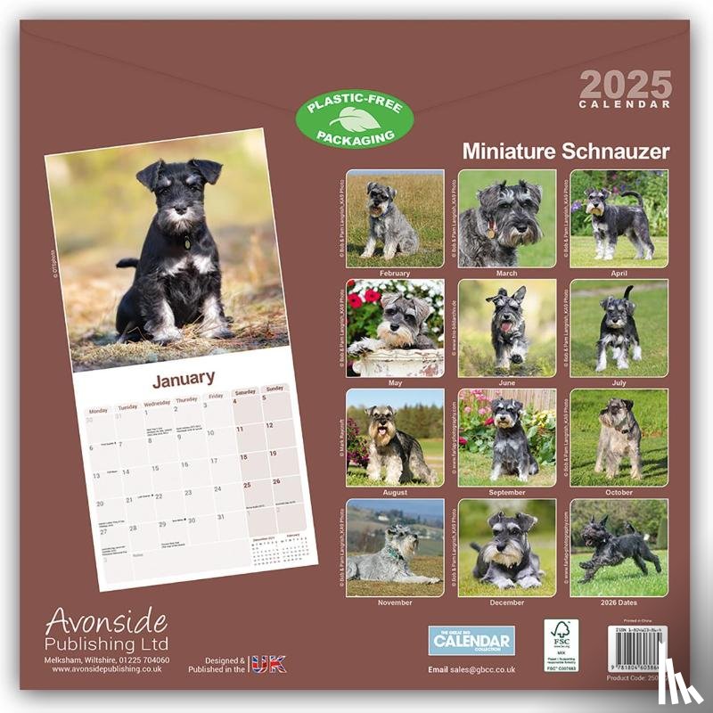 Avonside Publishing Ltd - Miniature Schnauzer Square Wall Calendar 2025
