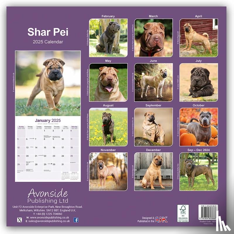 Avonside Publishing Ltd - Shar Pei Calendar 2025 Square Dog Breed Wall Calendar - 16 Month