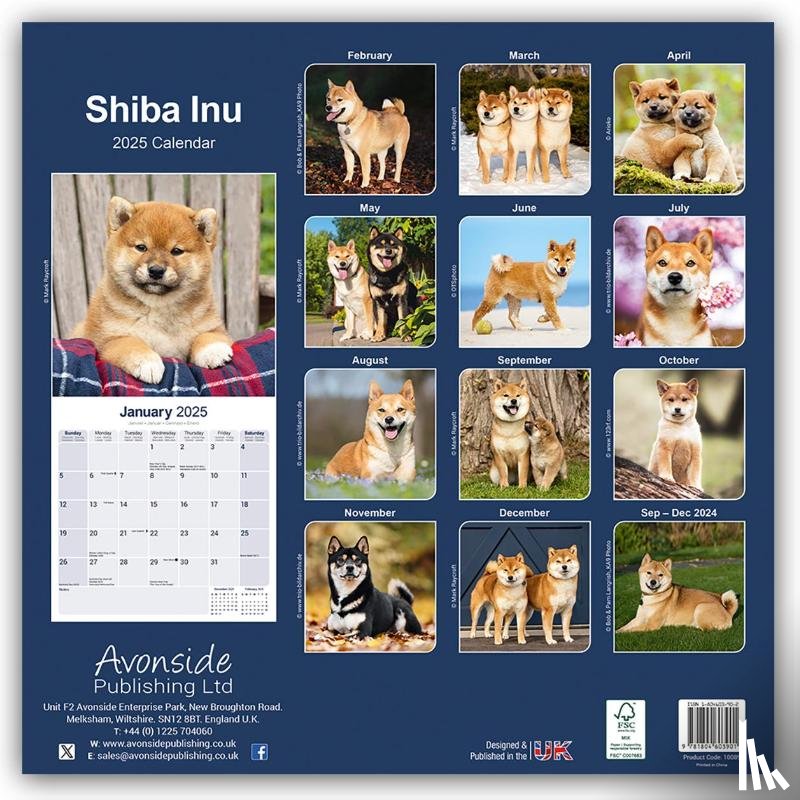 Avonside Publishing Ltd - Shiba Inu Calendar 2025 Square Dog Breed Wall Calendar - 16 Month