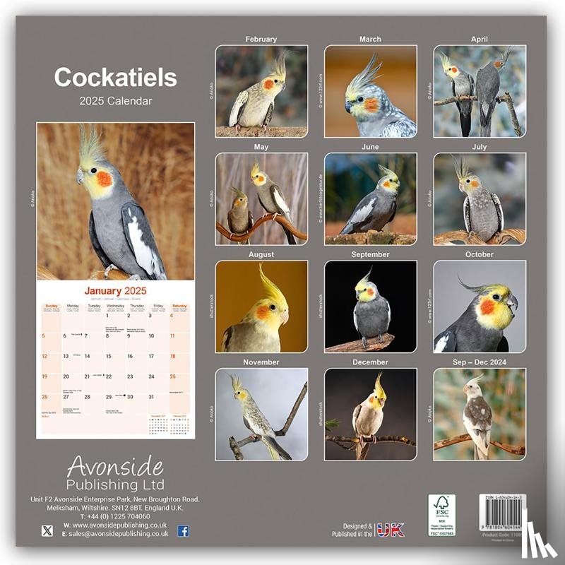 Avonside Publishing Ltd - Cockatiels Calendar 2025 Square Bird Wall Calendar - 16 Month