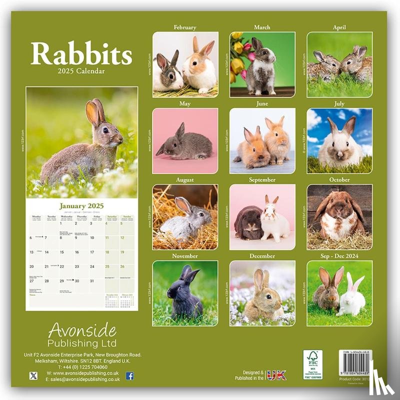 Avonside Publishing Ltd - Rabbits Square Wall Calendar 2025