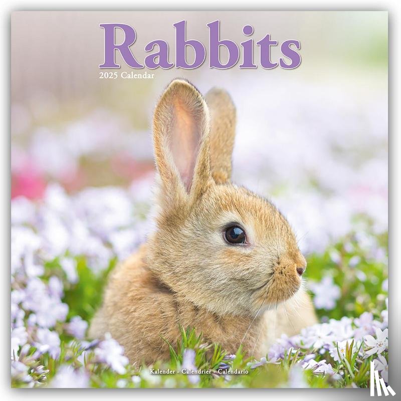 Avonside Publishing Ltd - Rabbits Square Wall Calendar 2025