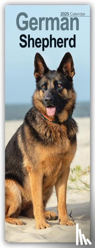 Avonside Publishing - German Shepherd Slim Calendar 2025
