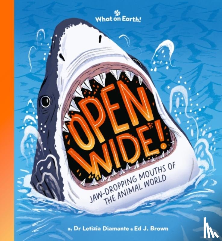 Diamante, Letizia - Open Wide!