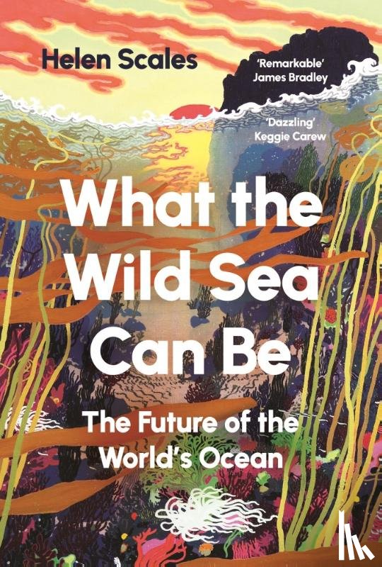Scales, Helen - What the Wild Sea Can Be