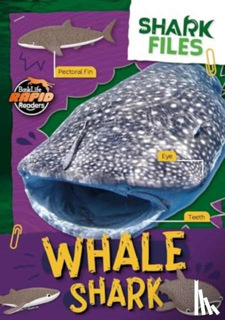 Twiddy, Robin - Whale Shark
