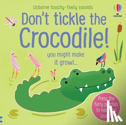 Taplin, Sam - Don't Tickle the Crocodile!