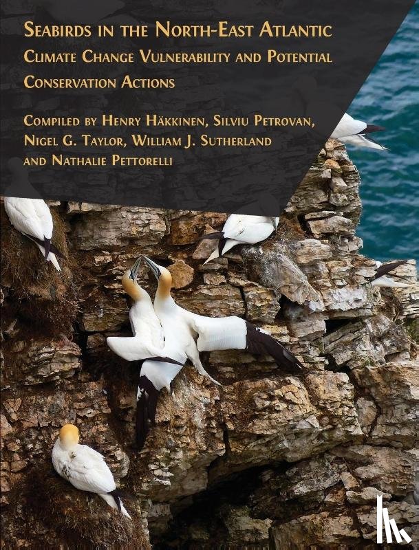 Häkkinen, Henry, Petrovan, Silviu, Taylor, Nigel G. - Seabirds in the North-East Atlantic