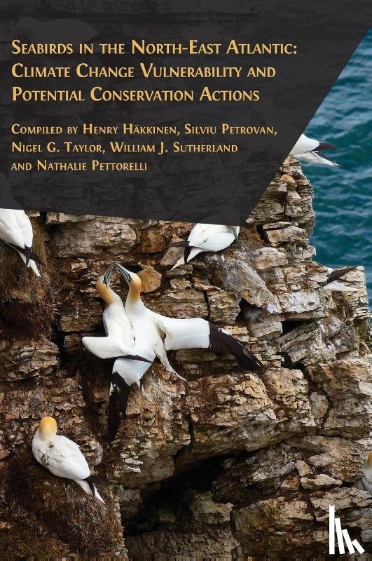Henry Hakkinen, Hakkinen, Silviu Petrovan, Petrovan, Nigel G. Taylor, Taylor - Seabirds in the North-East Atlantic