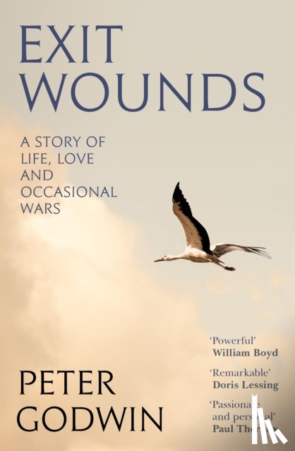Godwin, Peter - Exit Wounds
