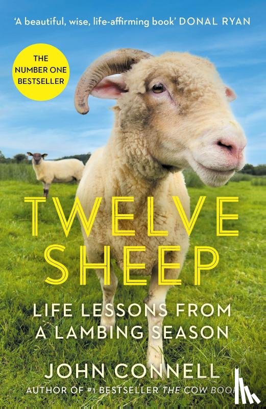 Connell, John - Twelve Sheep