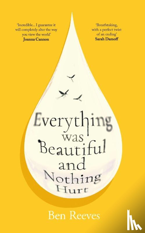 Reeves, Ben - Everything was Beautiful and Nothing Hurt