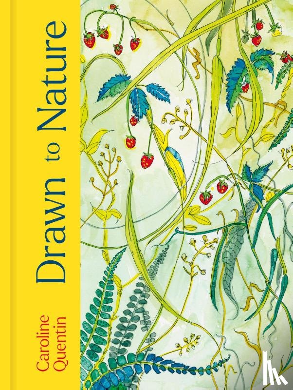 Quentin, Caroline - Drawn to Nature