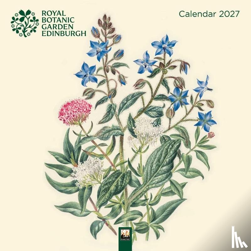 Flame, Tree - Royal Botanic Garden Edinburgh Wall Calendar 2027 (Art Calendar)