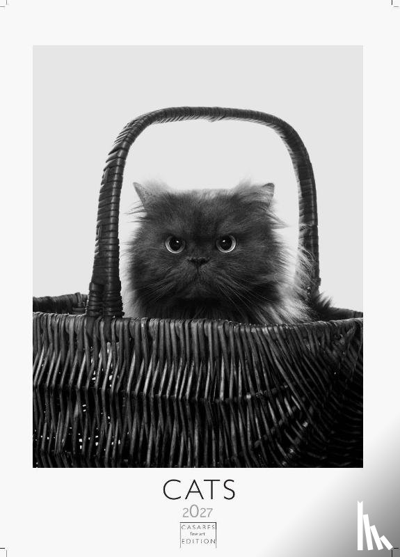  - Cats schwarz-weiss Kalender 2027 - Wandkalender | Fotokalender Tierkalender Grosses Format 59x42cm. - Katzenkalender | Perfekt für Katzenliebhaber und Tierkalenderfans